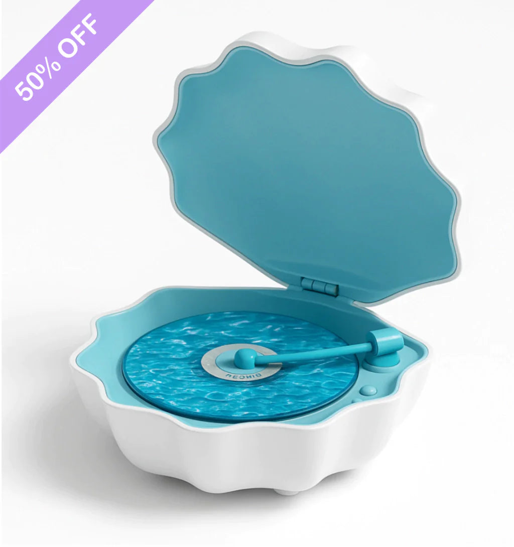 Shell Lamp Decorative Light | Ambient Lighting